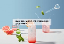 体彩欧洲杯过关投注怎么算,欧洲杯体彩过关方式中一个算吗