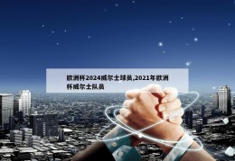 欧洲杯2024威尔士球员,2021年欧洲杯威尔士队员