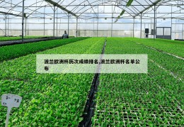 波兰欧洲杯历次成绩排名,波兰欧洲杯名单公布