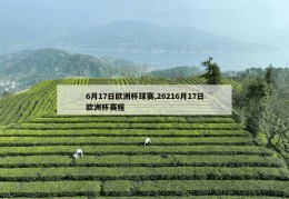 6月17日欧洲杯球赛,20216月17日欧洲杯赛程