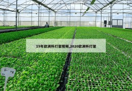 19年欧洲杯打架视频,2020欧洲杯打架