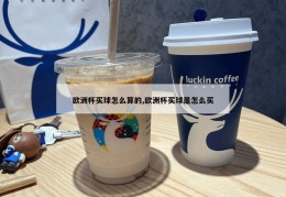 欧洲杯买球怎么算的,欧洲杯买球是怎么买