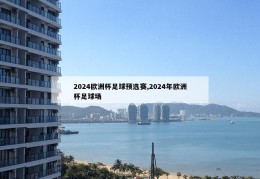 2024欧洲杯足球预选赛,2024年欧洲杯足球场