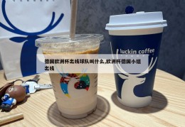 德国欧洲杯出线球队叫什么,欧洲杯德国小组出线