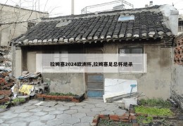 拉姆塞2024欧洲杯,拉姆塞足总杯绝杀