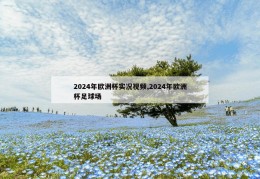 2024年欧洲杯实况视频,2024年欧洲杯足球场