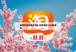 欧洲杯预选赛冰岛队,冰岛无缘2020欧洲杯