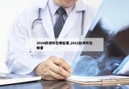 2024欧洲杯在哪能看,2022欧洲杯在哪看