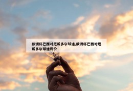 欧洲杯巴西对厄瓜多尔球迷,欧洲杯巴西对厄瓜多尔球迷评价