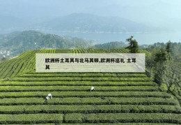 欧洲杯土耳其与北马其顿,欧洲杯巡礼 土耳其