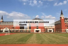 2024年是欧洲杯比赛吗,2024年欧洲杯足球场