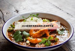 2024欧洲杯电视台回放,欧洲杯节目