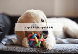 Csgo比分记录,csgo的比分网