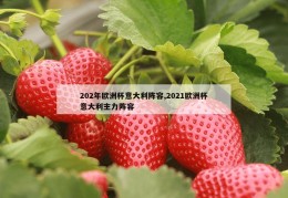 202年欧洲杯意大利阵容,2021欧洲杯意大利主力阵容