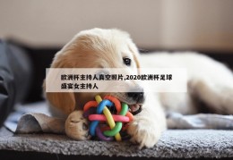 欧洲杯主持人真空照片,2020欧洲杯足球盛宴女主持人