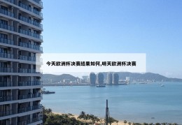 今天欧洲杯决赛结果如何,明天欧洲杯决赛