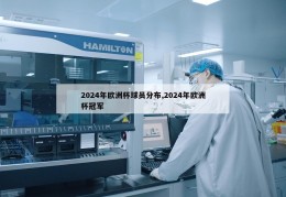 2024年欧洲杯球员分布,2024年欧洲杯冠军