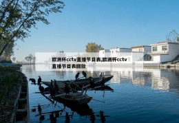 欧洲杯cctv直播节目表,欧洲杯cctv直播节目表回放