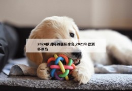 2024欧洲杯四强队冰岛,2021年欧洲杯冰岛