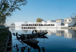 2024欧洲杯丹麦队数据,2024欧洲杯丹麦队数据分析