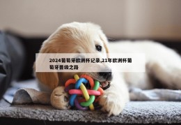 2024葡萄牙欧洲杯记录,21年欧洲杯葡萄牙晋级之路