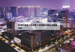 欧洲杯谁进入总决赛了,欧洲杯入围总决赛是几队