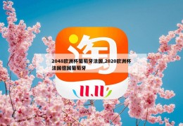 2048欧洲杯葡萄牙法国,2020欧洲杯法国德国葡萄牙