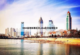 NBA篮球彩票比分,nba比分篮球比分