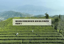 哪支球队夺得欧洲杯冠军,哪支球队夺得欧洲杯冠军了